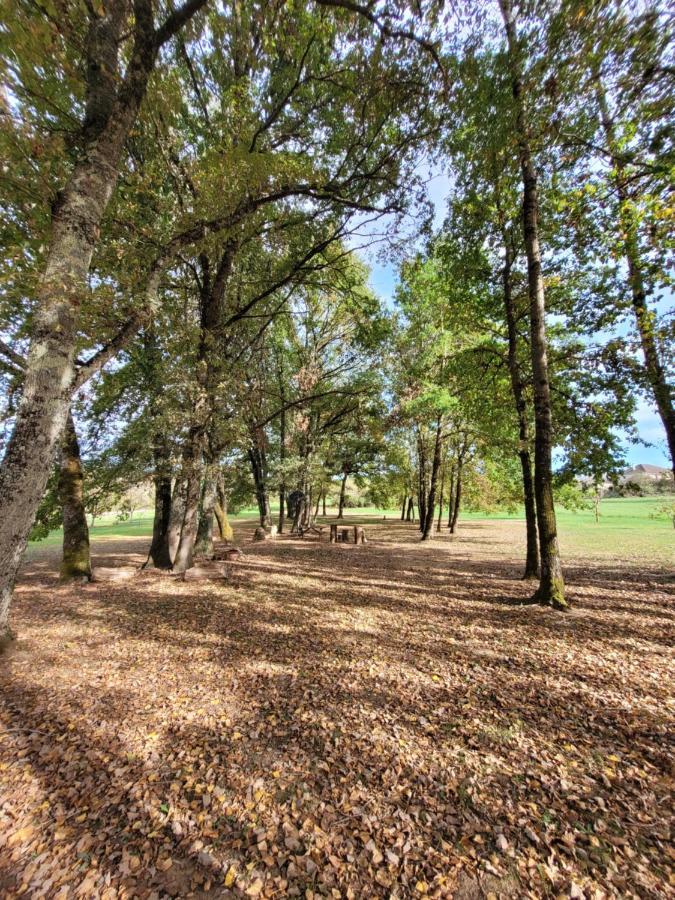 Maison Neuve Bord De Dordogne Lanzac 外观 照片